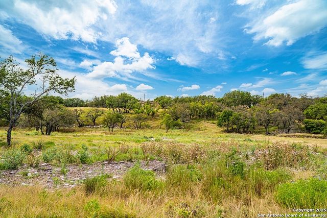 326 Blue Oak Tr, Harper, TX 78631
