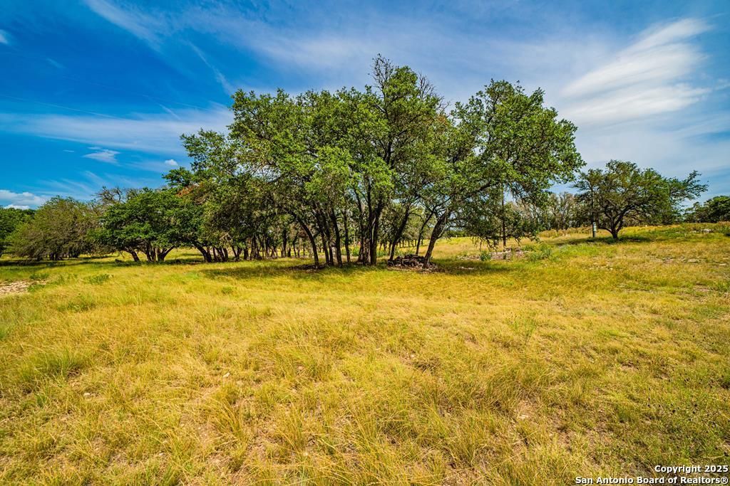 326 Blue Oak Tr, Harper, TX 78631