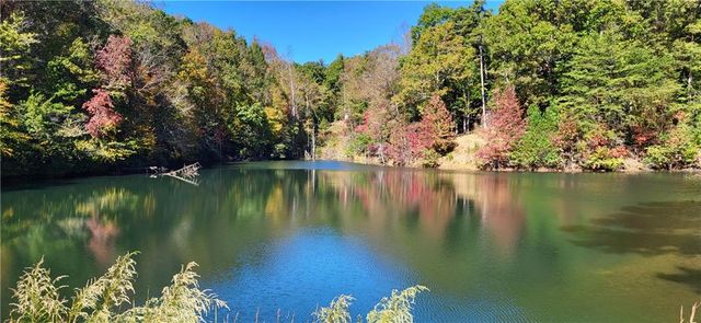 382 Pocaset Drive, Ellijay, GA 30540