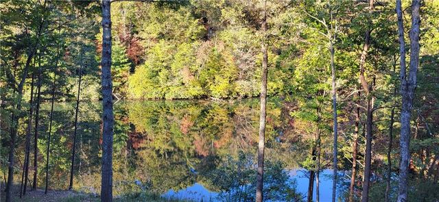 382 Pocaset Drive, Ellijay, GA 30540