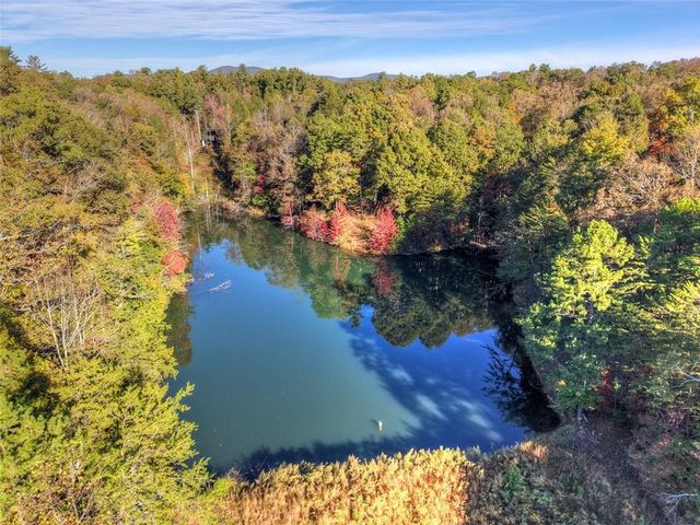 382 Pocaset Drive, Ellijay, GA 30540