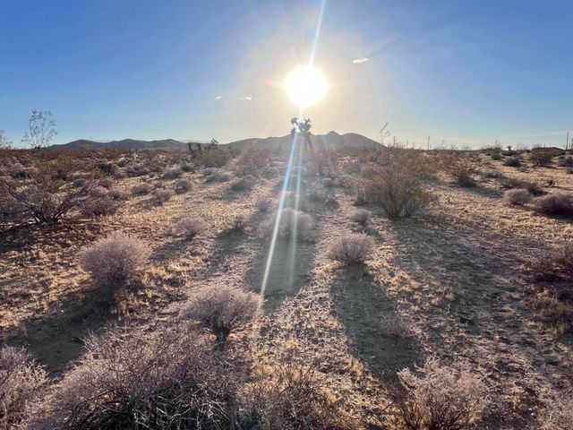 777 Lambert Lane, Landers, CA 92285