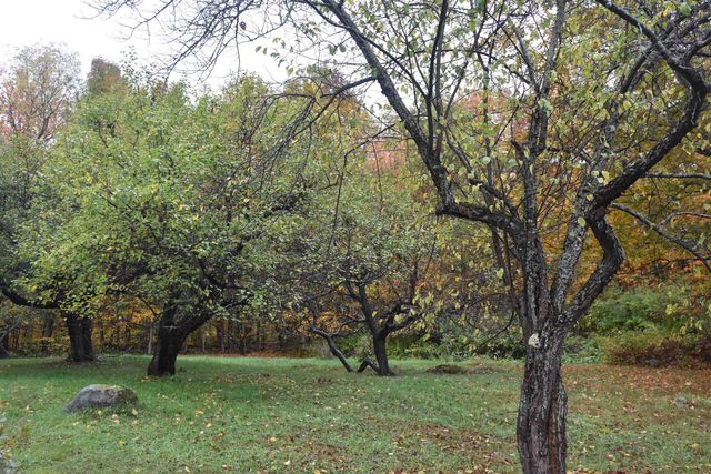 120 Darling Road, Marshfield, VT 05658