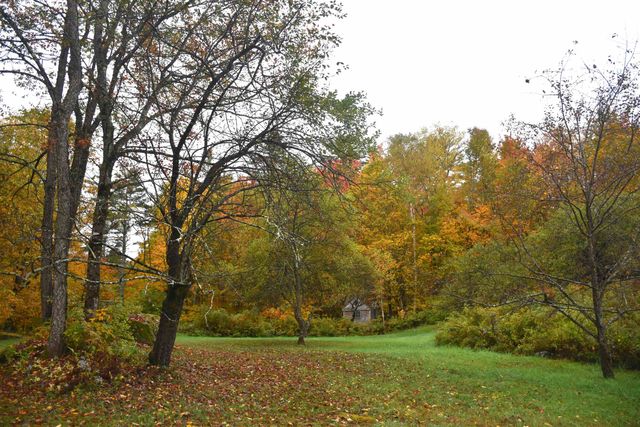 120 Darling Road, Marshfield, VT 05658