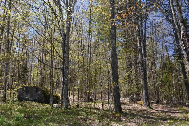 120 Darling Road, Marshfield, VT 05658