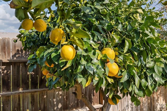 12414 Lavina Avenue, Bakersfield, CA 93312