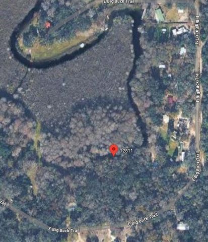 12811 E BIG BUCK TRAIL, Floral City, FL 34436