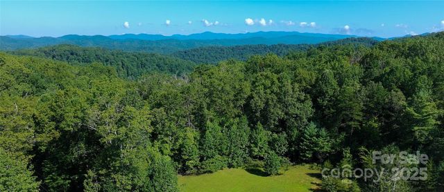 262 Rooster Cove, Brevard, NC 28712