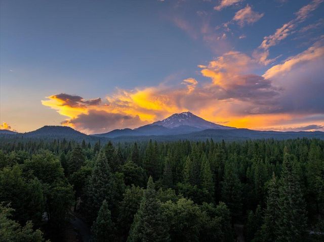 815 Quail Court, Mccloud, CA 96057