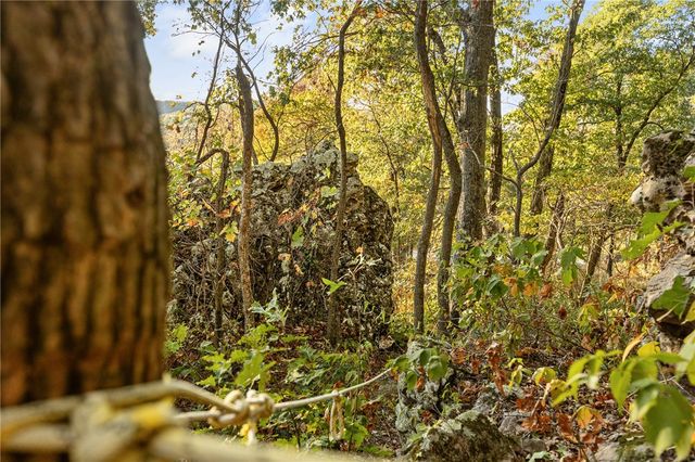 Lot 78 Restore Ridge, Harrison, AR 72601