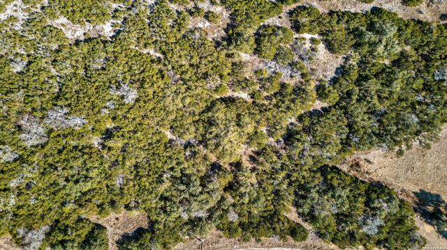 614 Stars And Stripes, Fischer, TX 78623