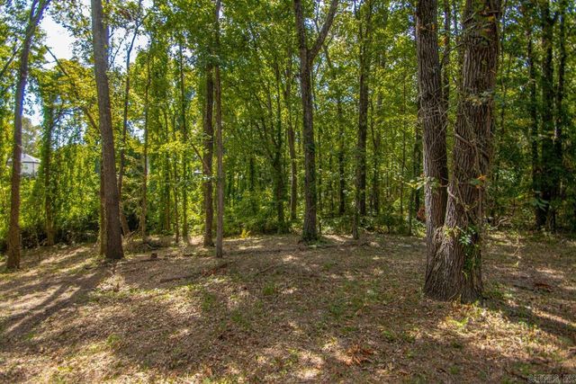 6313 Beech St, Bauxite, AR 72011