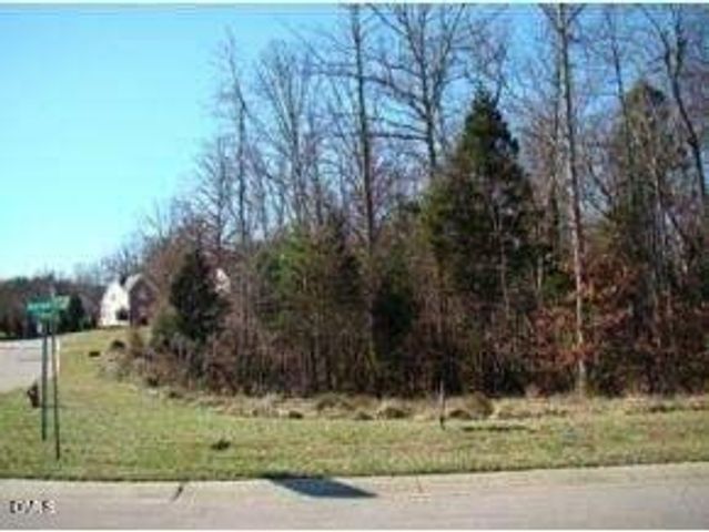 108 Elk River Court, Mebane, NC 27302