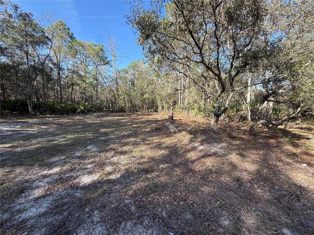 6479 W HOLIDAY STREET, Homosassa, FL 34446