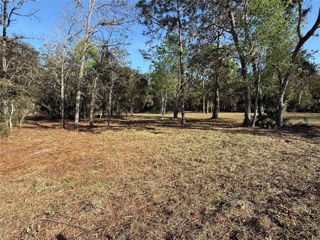 6479 W HOLIDAY STREET, Homosassa, FL 34446