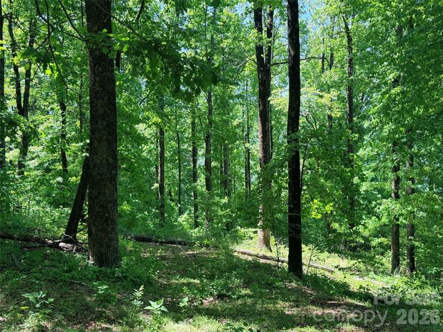 Lot 10 Timbercliff Trail, Black Mountain, NC 28711