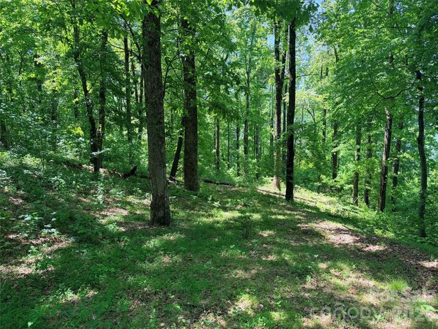 Lot 10 Timbercliff Trail, Black Mountain, NC 28711