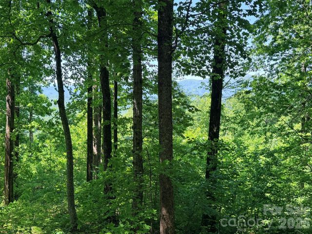Lot 10 Timbercliff Trail, Black Mountain, NC 28711