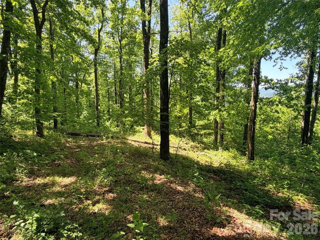 Lot 10 Timbercliff Trail, Black Mountain, NC 28711