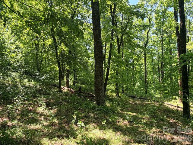 Lot 10 Timbercliff Trail, Black Mountain, NC 28711