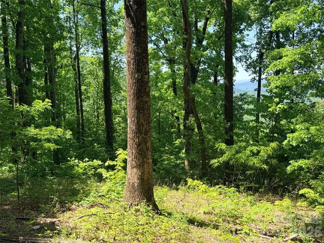Lot 10 Timbercliff Trail, Black Mountain, NC 28711