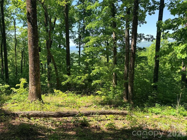 Lot 10 Timbercliff Trail, Black Mountain, NC 28711