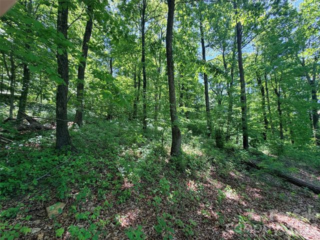 Lot 10 Timbercliff Trail, Black Mountain, NC 28711