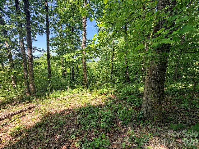 Lot 10 Timbercliff Trail, Black Mountain, NC 28711
