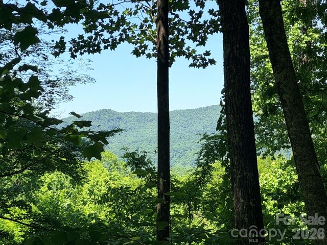 Lot 10 Timbercliff Trail, Black Mountain, NC 28711