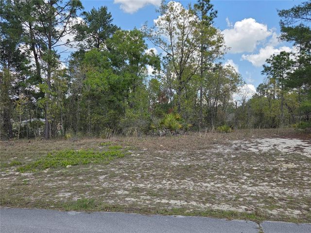 SW 139TH PLACE ROAD, Ocala, FL 34473