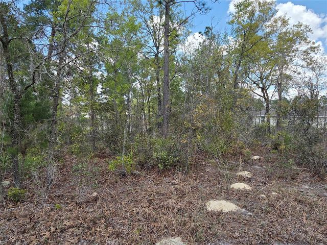 SW 139TH PLACE ROAD, Ocala, FL 34473