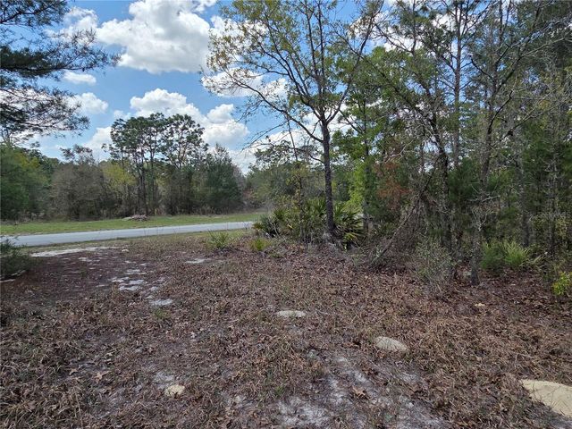 SW 139TH PLACE ROAD, Ocala, FL 34473