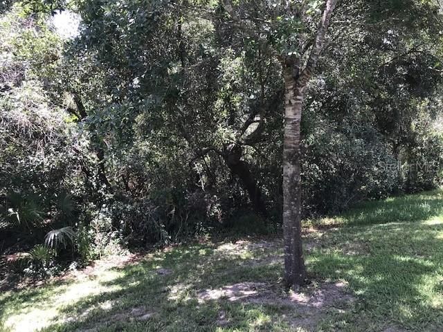 3078 VERBENA DRIVE, Deltona, FL 32725