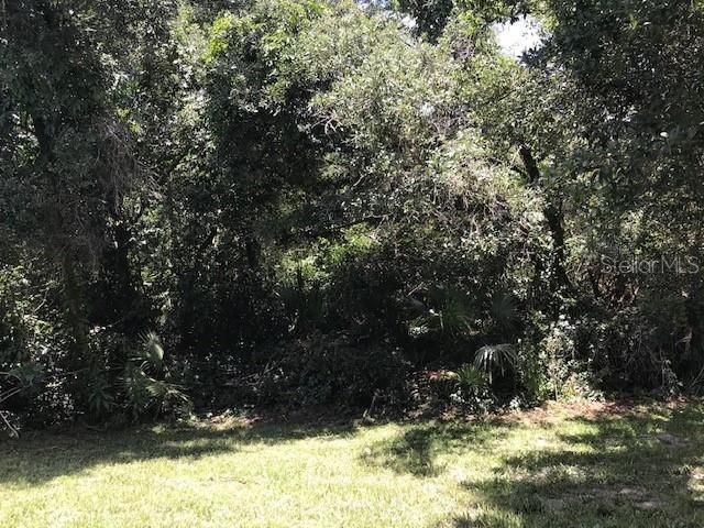 3078 VERBENA DRIVE, Deltona, FL 32725