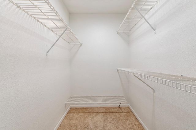 3005 Walnut Bend Lane 12, Houston, TX 77042