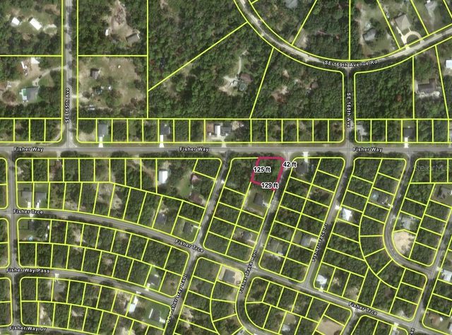 TBD FISHER WAY, Ocklawaha, FL 32179