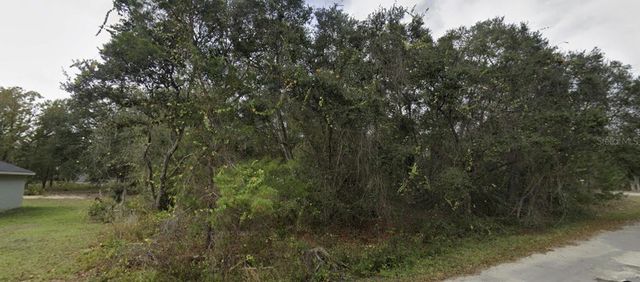 TBD FISHER WAY, Ocklawaha, FL 32179