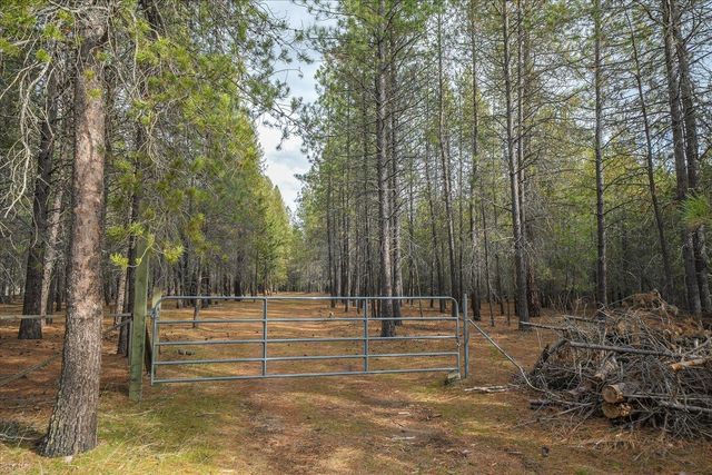 28202 N Bruce Rd, Chattaroy, WA 99003