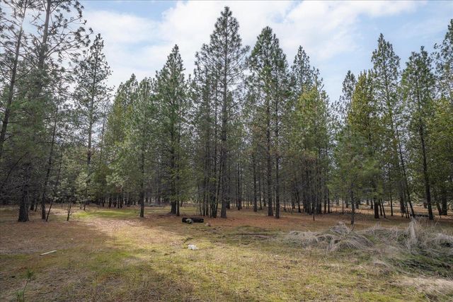 28202 N Bruce Rd, Chattaroy, WA 99003