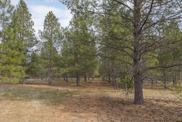 28202 N Bruce Rd, Chattaroy, WA 99003