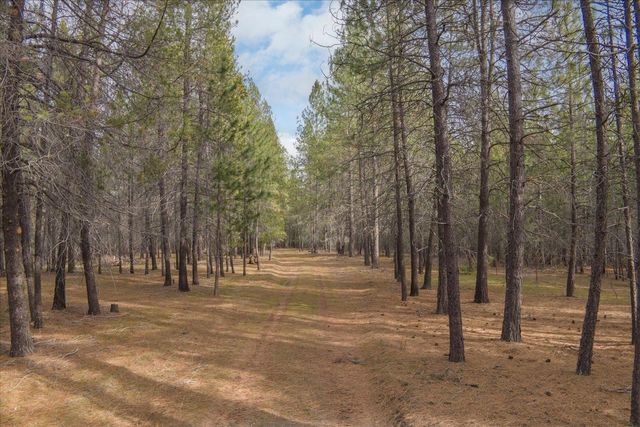 28202 N Bruce Rd, Chattaroy, WA 99003