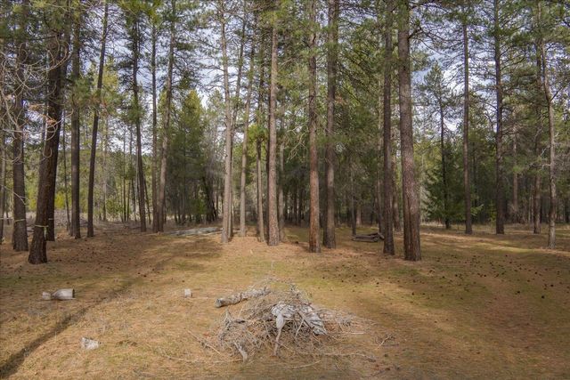 28202 N Bruce Rd, Chattaroy, WA 99003