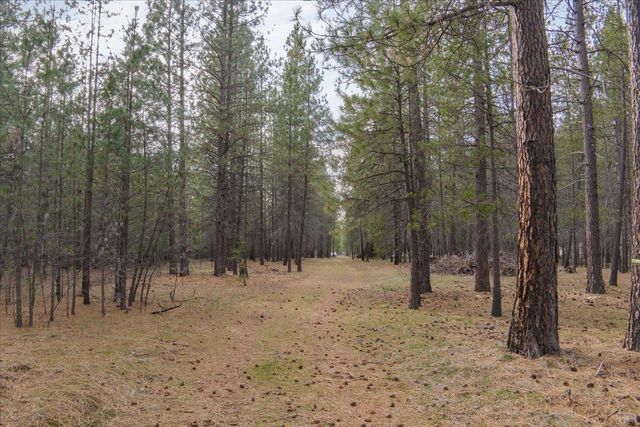 28202 N Bruce Rd, Chattaroy, WA 99003