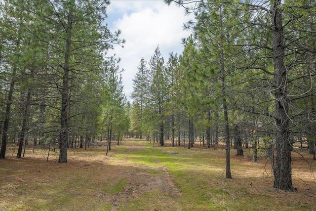 28202 N Bruce Rd, Chattaroy, WA 99003