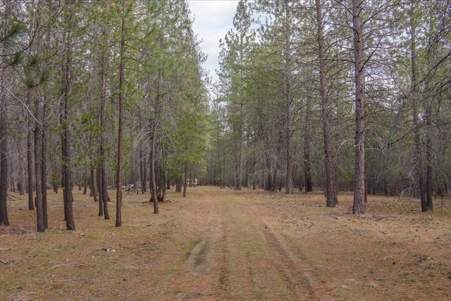 28202 N Bruce Rd, Chattaroy, WA 99003