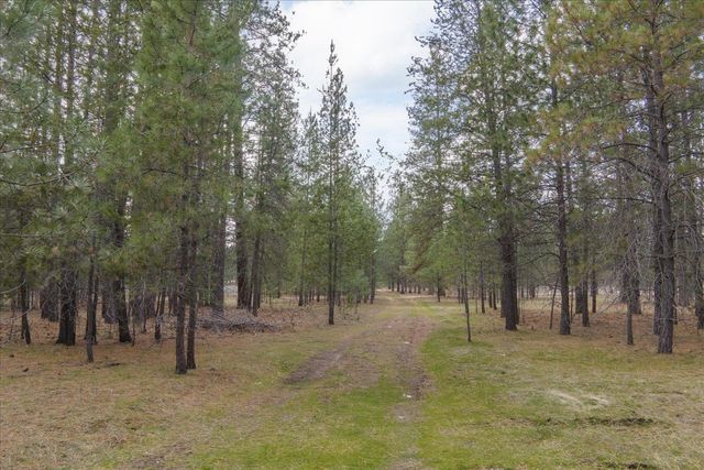 28202 N Bruce Rd, Chattaroy, WA 99003