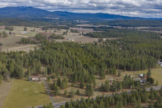 28202 N Bruce Rd, Chattaroy, WA 99003