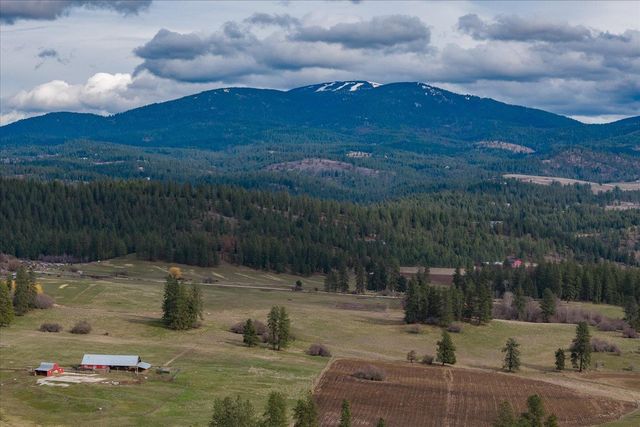 28202 N Bruce Rd, Chattaroy, WA 99003