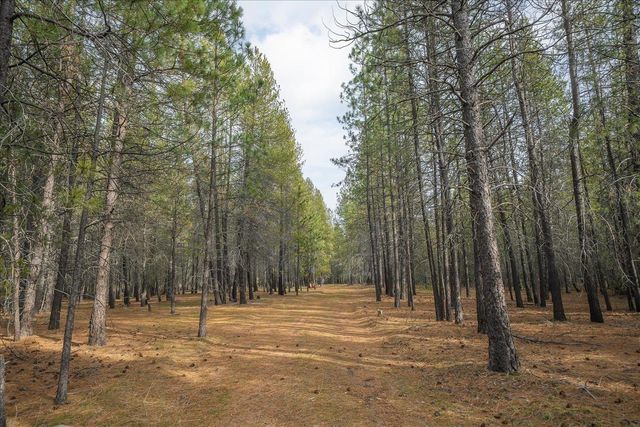 28202 N Bruce Rd, Chattaroy, WA 99003