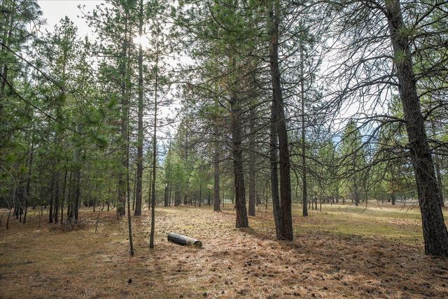 28202 N Bruce Rd, Chattaroy, WA 99003